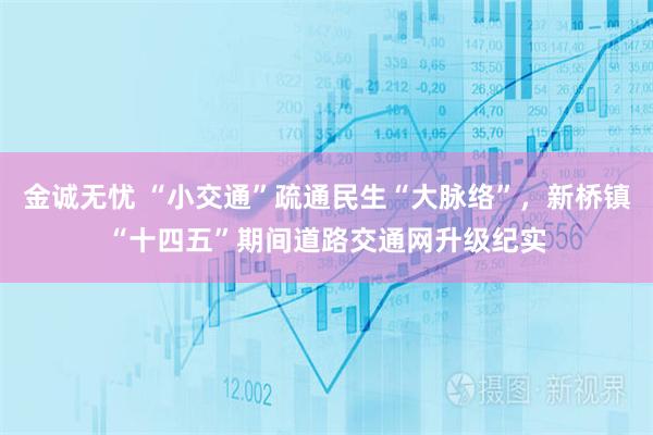 金诚无忧 “小交通”疏通民生“大脉络”，新桥镇“十四五”期间道路交通网升级纪实
