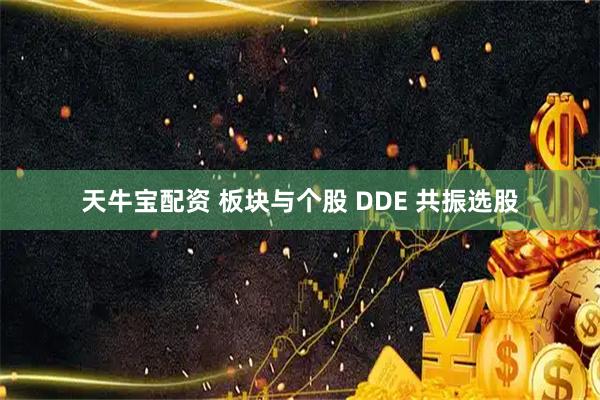 天牛宝配资 板块与个股 DDE 共振选股